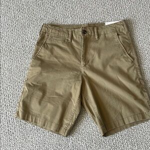American Eagle Outfitters Tan Flat Front Chino Shorts